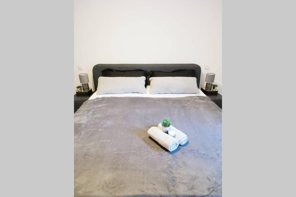 Ferienwohnung Rhode Rielasingen-Worblingen Екстер'єр фото